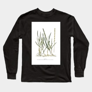 Couch Grass Long Sleeve T-Shirt